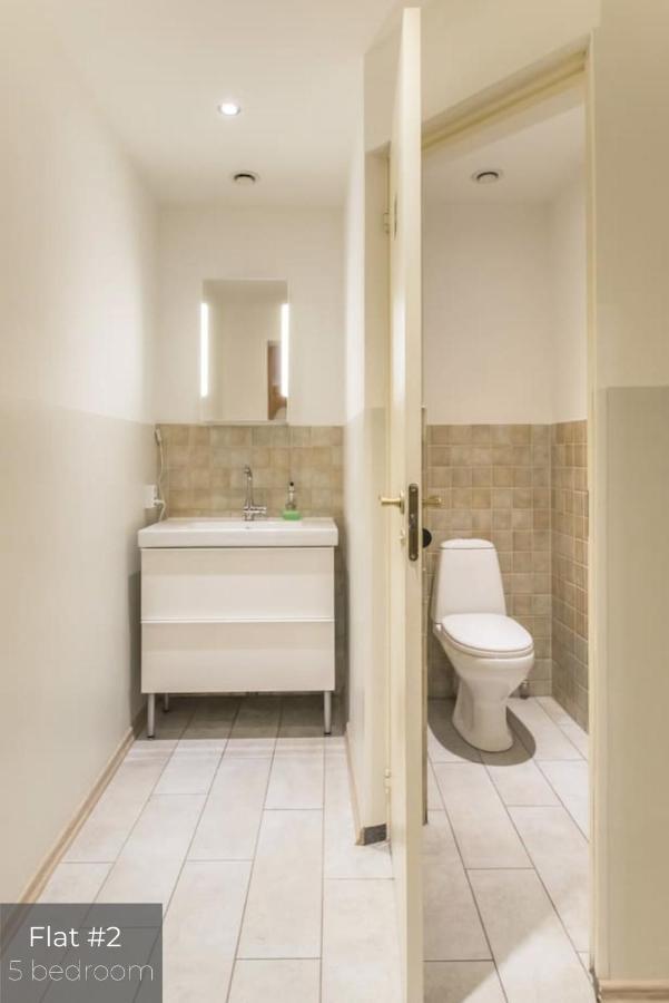 Dandelion Apartments Lacplesa 리가 외부 사진